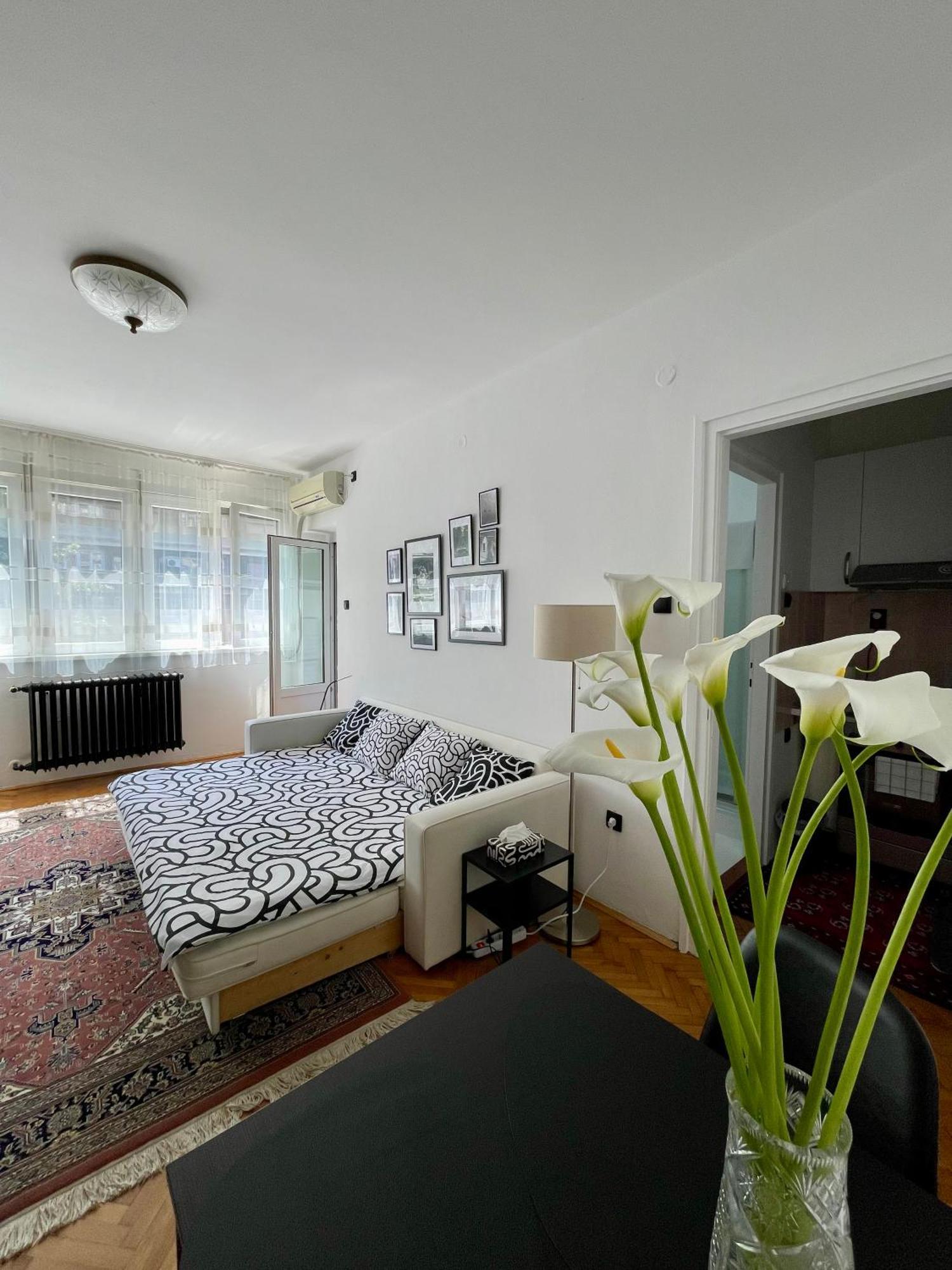 Apartment Mirochka 베오그라드 외부 사진